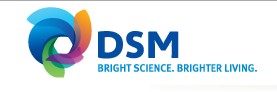 荷商DSM Taipei Ltd.