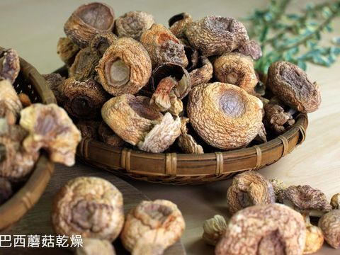 菇類食品_巴西蘑菇乾燥
