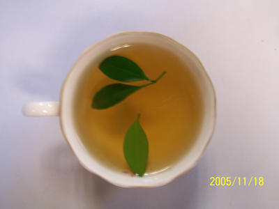 產品介紹,綠茶-