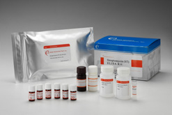 鏈黴素酵素免疫檢驗試劑盒 Streptomycin ELISA Test Kit-