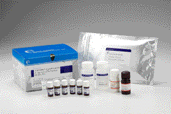 瘦肉精(沙丁胺醇)酵素免疫檢驗試劑套組 Salbutamol ELISA Diagnostic Kit-