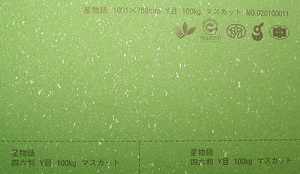 日本星語紙116gsm -A4 20張/包-